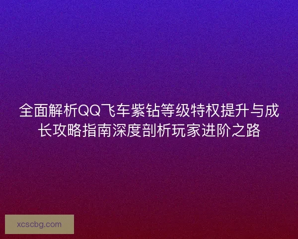 全面解析QQ飞车紫钻等级特权提升与成长攻略指南深度剖析玩家进阶之路